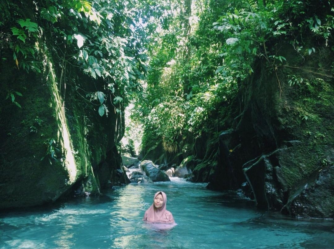 tutuddwilst's tweet photo. @aMrazing Air terjun tero-tero.
Kolam Abadi.
Titi hijau, TNGL bukit lawang.
Air terjun saringgana. https://t.co/O17wmWn2nk