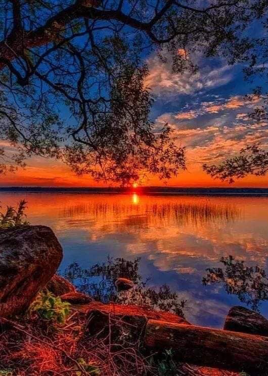 Wow great view 🌸