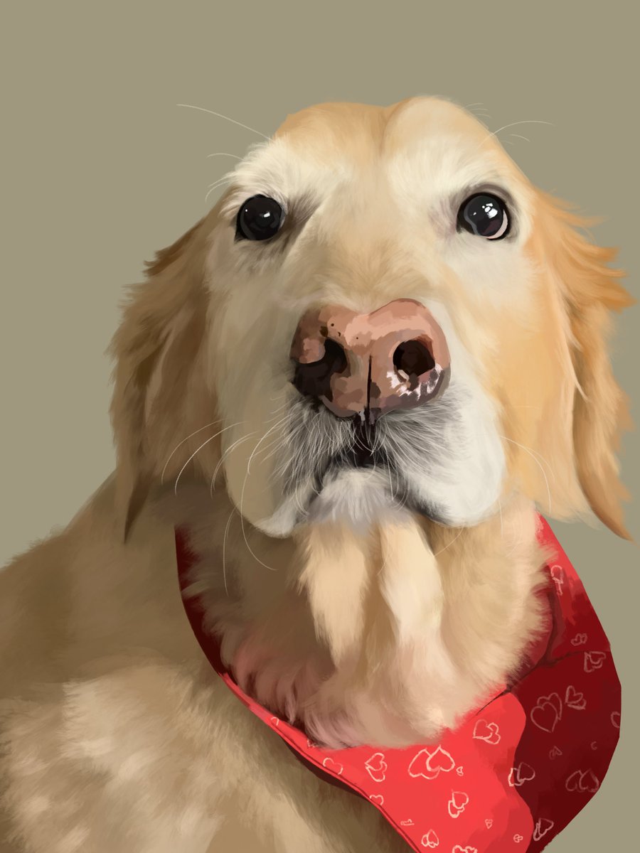 cepsil's tweet photo. not the jubby drawing y’all were expecting but the sunny drawing we needed 🫡

#jubbyfanart #jubby @jubbyirl https://t.co/Zni9aDztDs