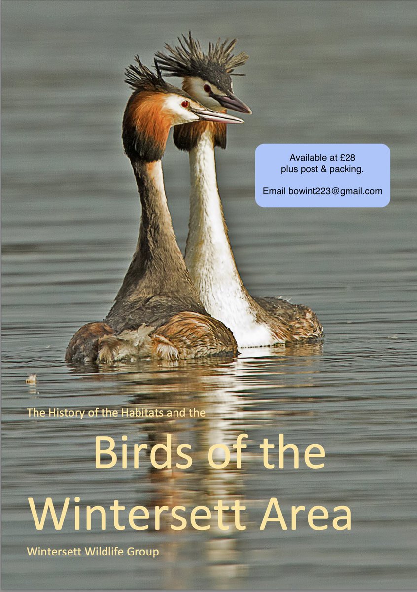 The Birds of Wintersett (@bowintersett2) on Twitter photo Final proof check, almost ready to go! #birdsofwintersett .
Order now or risk missing out.
For details, Email
bowint223@gmail.com
or DM this account, stating preference of bank transfer or cheque Final proof check, almost ready to go! #birdsofwintersett .
Order now or risk missing out.
For details, Email
bowint223@gmail.com
or DM this account, stating preference of bank transfer or cheque