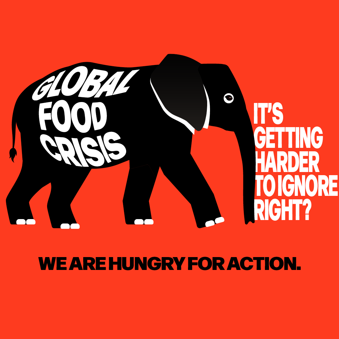 HungryForAct's tweet image. Thank you so much for helping us spotlight the #elephantintheroom.

735 million of our fellow global citizens are going hungry. We count on you to get this message to World Leaders gathering for #UNGA this coming September.
#globalfoodcrisis #HungryforAction