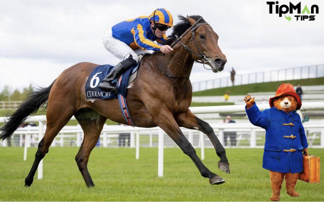 💷 If Paddington and Pinafore both win at York today I’ll give one of you £100 in CASH! - YES £100!

Enter ⬇️
1️⃣ RT this Tweet 🔄
2️⃣ Like this Tweet ❤️ 
3️⃣ Follow <a href="/BenBeard2/">Ben Beard</a> 

Get £45 in free bets when you join Paddy and bet £10 
🆓 Claim here: bit.ly/YorkB10g45

18+ Gamble