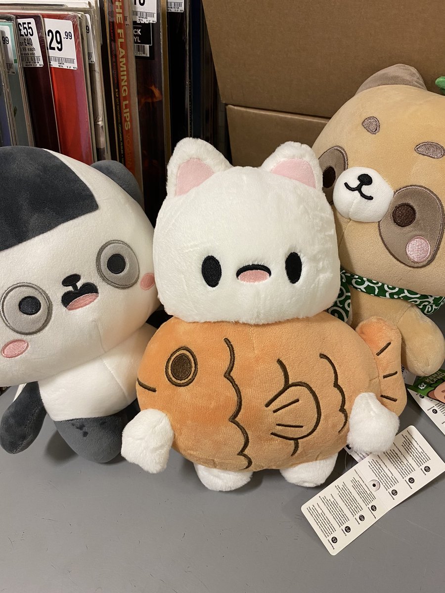 KAWAII AF!! Love these ❤️ getting #Zom100 vibes from the middle dude though IFYKYK #kenji #plush #hmvlovespopculture