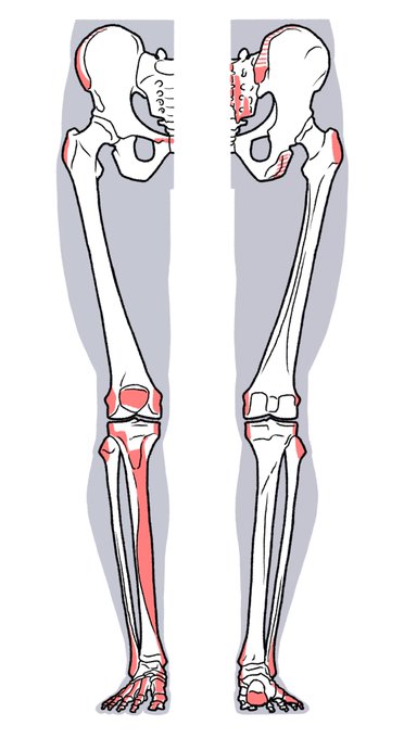 「skeleton」 illustration images(Latest｜RT&Fav:50)｜5pages