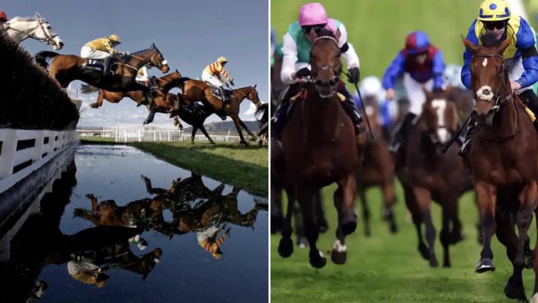 Steve Coxon Racing 🏇 tweet media