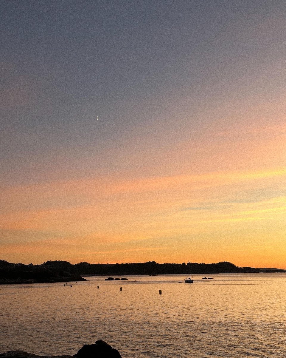 Nacho 🎄 tweet media