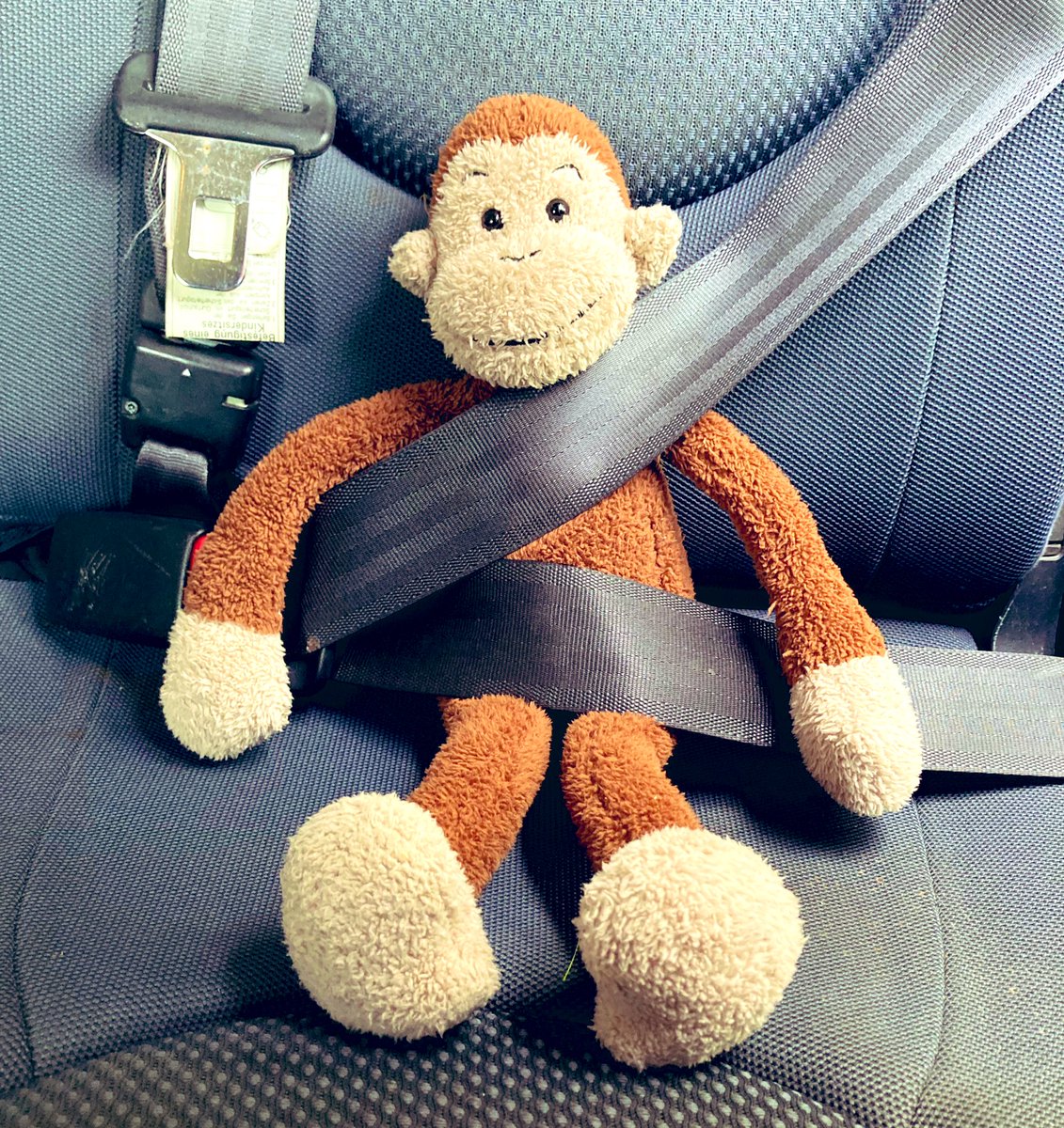Found Monkey! If he belongs to your small person, please let us know as we’d like to get him home safely.