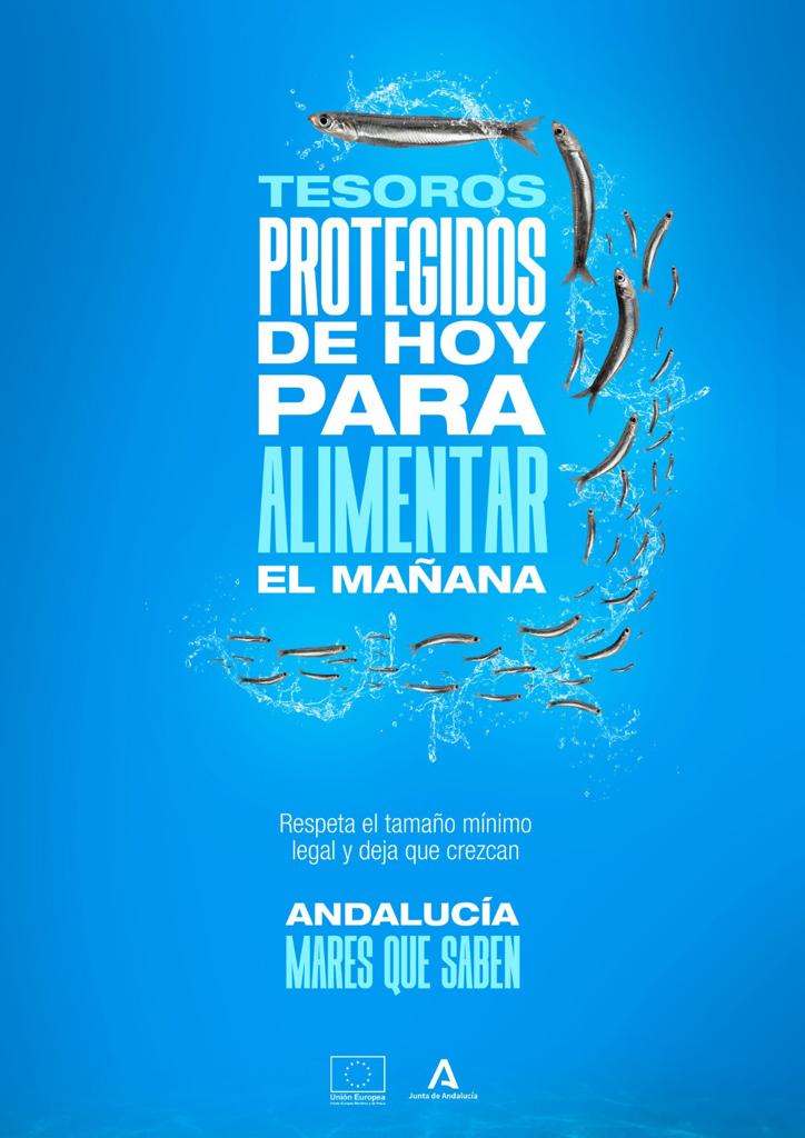 AgriculturAnd's tweet photo. 🌊🌊Andalucía "Mares que saben"

🐙🐟#PescadosProtegidos 🦐

Respecta el tamaño mínimo legal y deja que crezcan https://t.co/jFYKAtkpkB