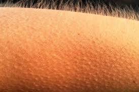 George Michael- ‘ Ladies and gentlemen, MR ELTON JOHN….!