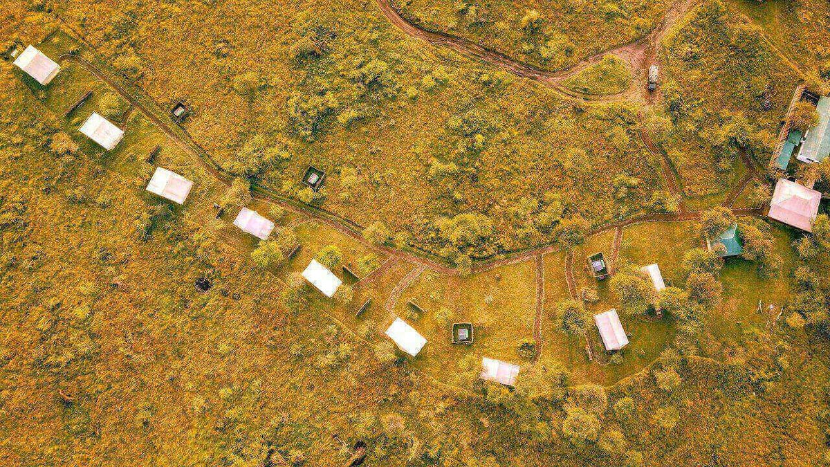 RoyalCTravel's tweet photo. Embark on a wild adventure like never before at Kandili Safari Camp. 📷📷 Secure your spot now to immerse yourself in the heart of the African wilderness and create timeless memories.
for booking call; 0712240829/0731240829 https://t.co/GLJxBgbtmy