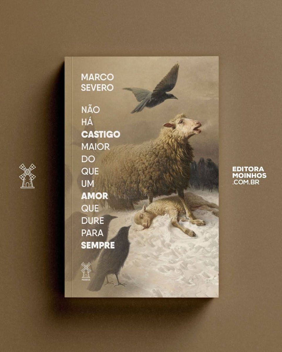 Marco Severo tweet media