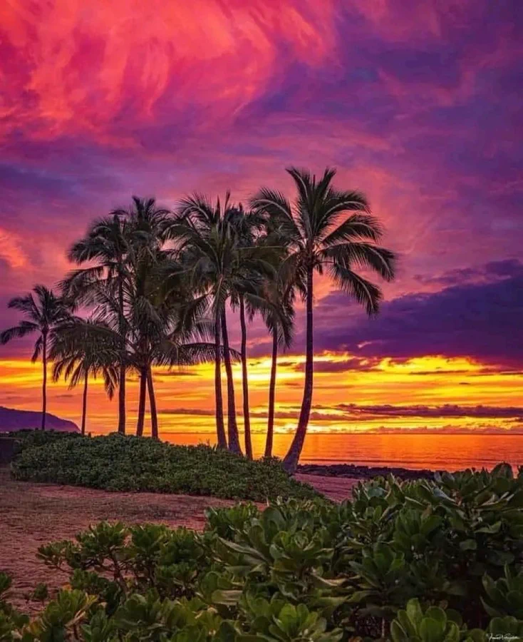 F4Nr9sMWwAAcP42?format=webp&name=900x900