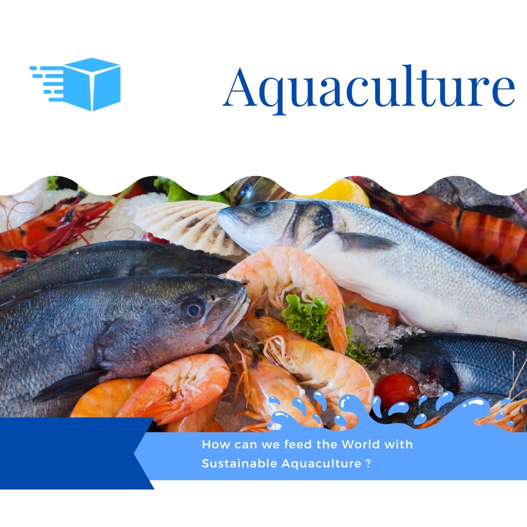 Revolutionizing aquaculture with Proti Box's Recirculating Aquaculture System (RAS). It's not just about fish; it's about answering the question of efficient and sustainable food production. 🐠💧 #AquacultureInnovation #ProtiBox