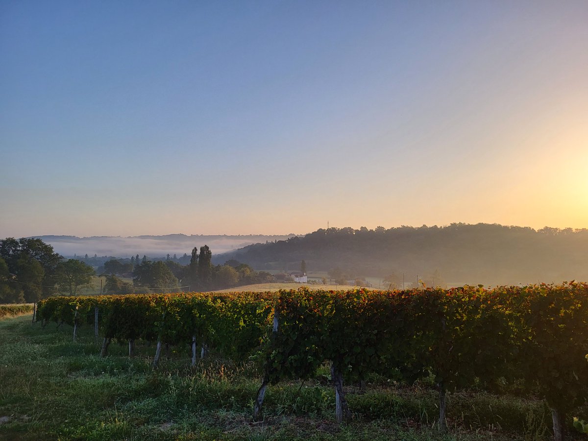GitesdeBernet's tweet photo. A cool morning before a very hot afternoon 
#canicule #mist #brume #campagne #southwestfrance #bearn #coeurdebearn #monein #heatwave #sunrise #leverdesoleil https://t.co/Wu4EkYhN0c