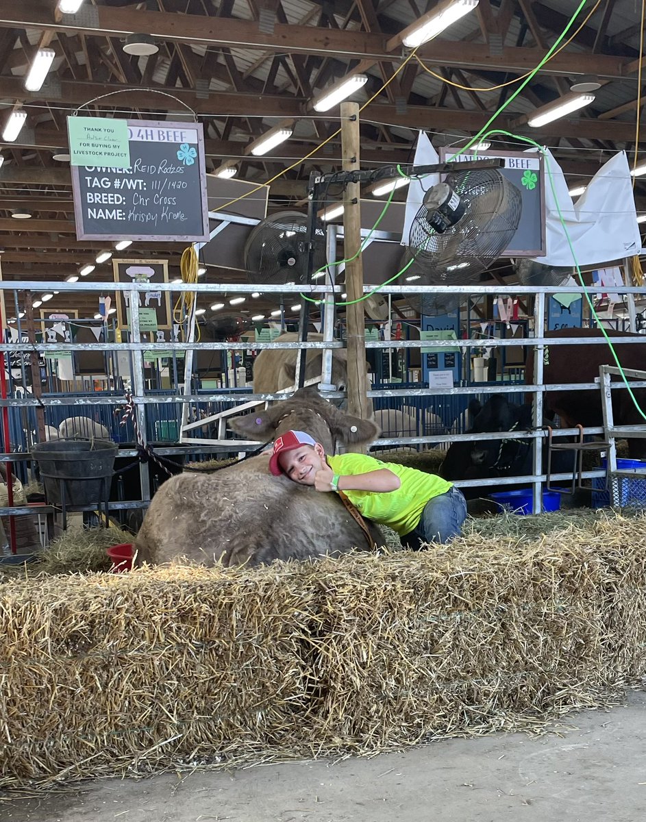 ronr1124's tweet photo. @TheDailyCowman We finished ours last week. And I agree with what you said.  It teaches kids some important stuff. https://t.co/pGMNcHnU7I