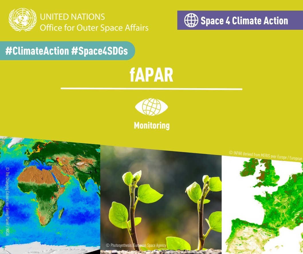 This week in #space4climateaction we explore fAPAR! 🌱fAPAR is one of the Essential Climate Variables & quantifies the fraction of the solar radiation absorbed by live leaves for photosynthesis. 🩺#DYK it helps assess vegetation health? Discover more 👉space4climateaction.unoosa.org/content/fapar