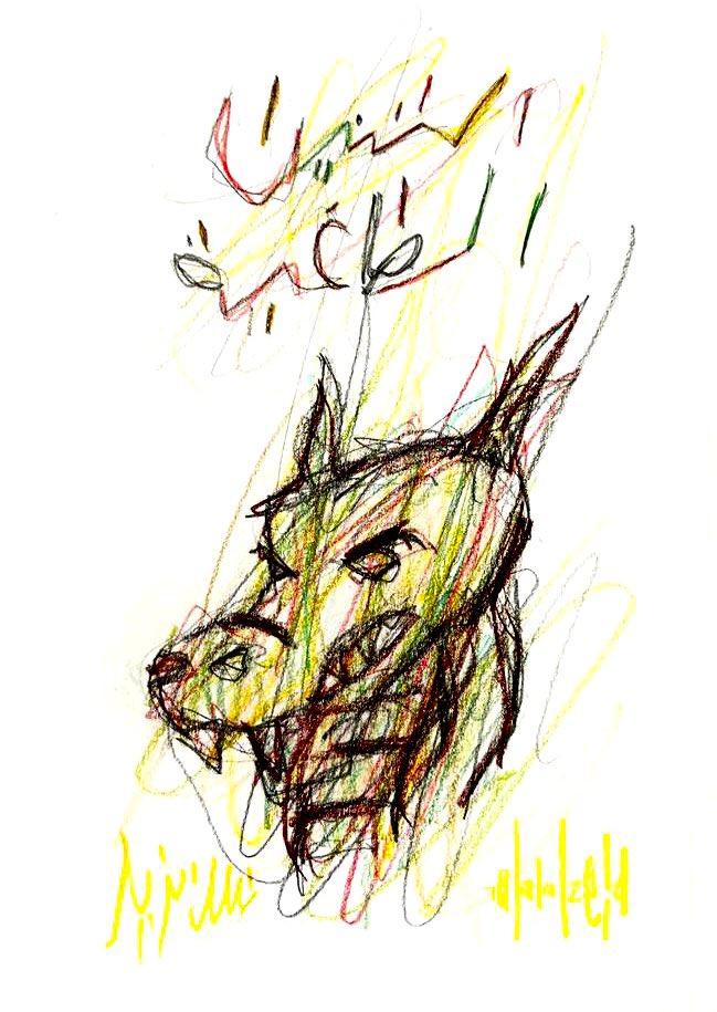 Nawfal Aljerian | نوفل الجريان tweet media