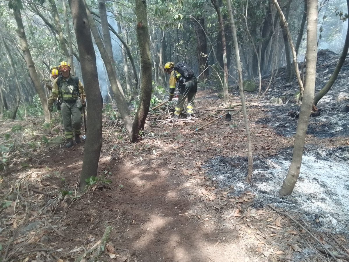 heitairoi's tweet photo. Ahora viene ese trabajo desagradecido pero importante de asegurar y consolidar el perímetro del #IIFF,trabajo duro el que se está realizando durante las 24hr en #IFArafoCandelaria por los #BBFF,es cuando se apaga la llama cuando empieza lo duro….
@AT_Brif @EIRIFGobCan #Bifor https://t.co/U3rSPt2s1O