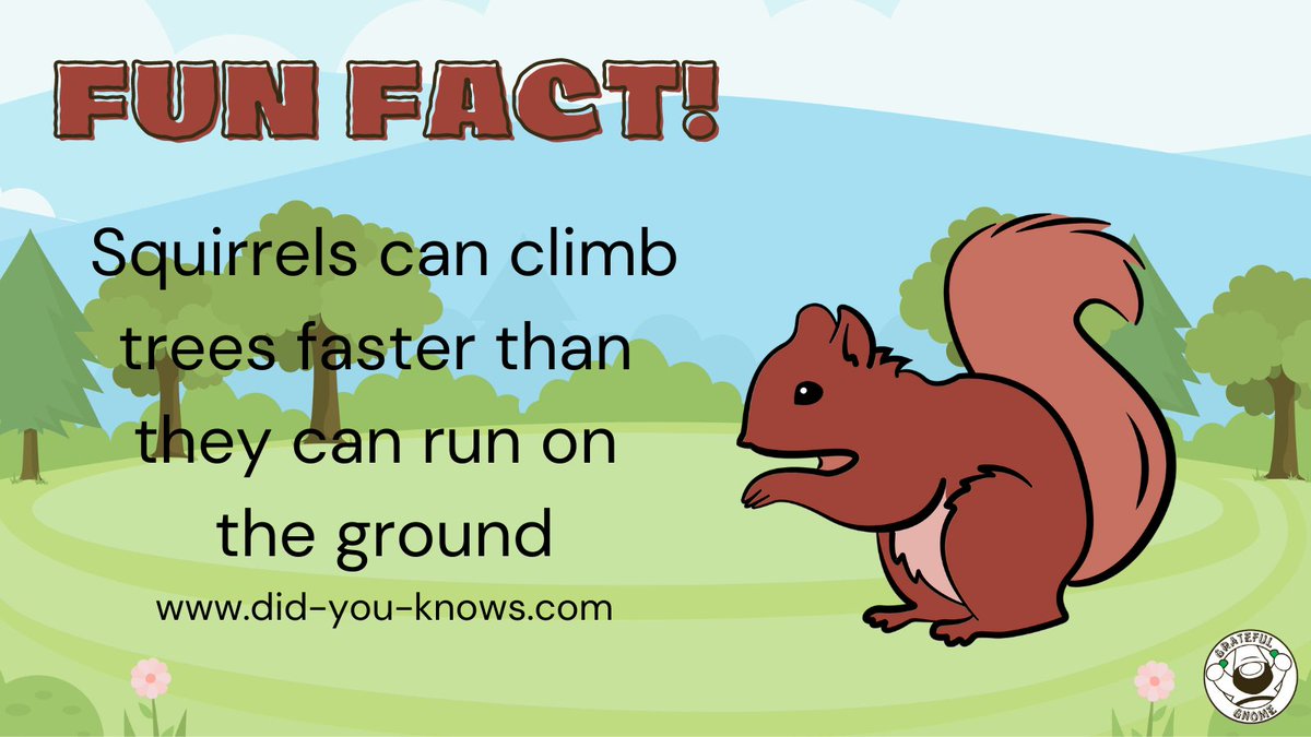 It's Fun Fact Wednesday!💡 Expand your knowledge with this fascinating, fun fact!😮 #randomfact #funfact