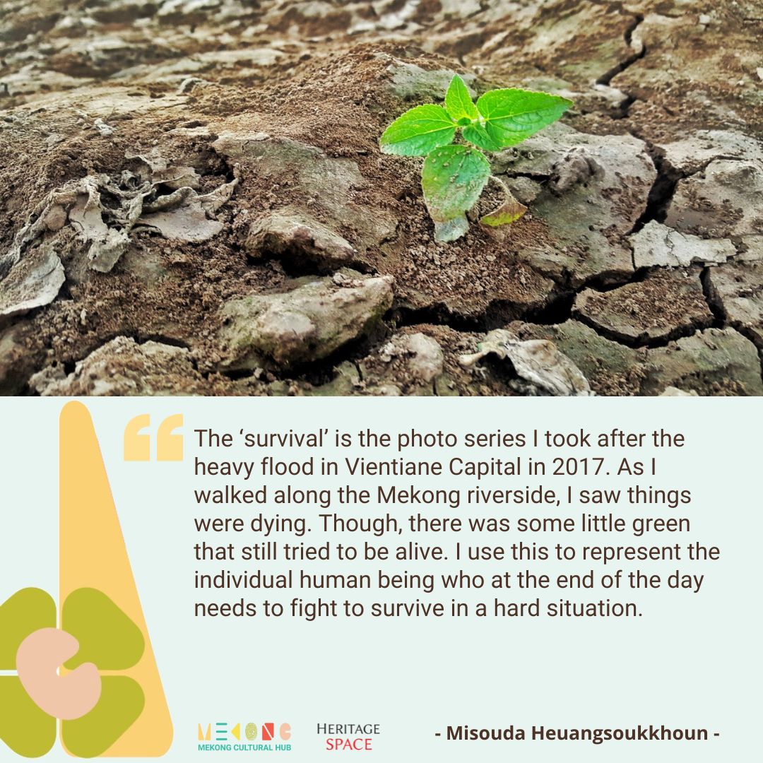 Derived from  images linked with the ground, three #CuratedConference participants express their interpretations of the idea of #PerspectivesfromtheGrassroots, which is the theme for #MeetingPoint 2024. Read more: bit.ly/MP2024-Nature-…