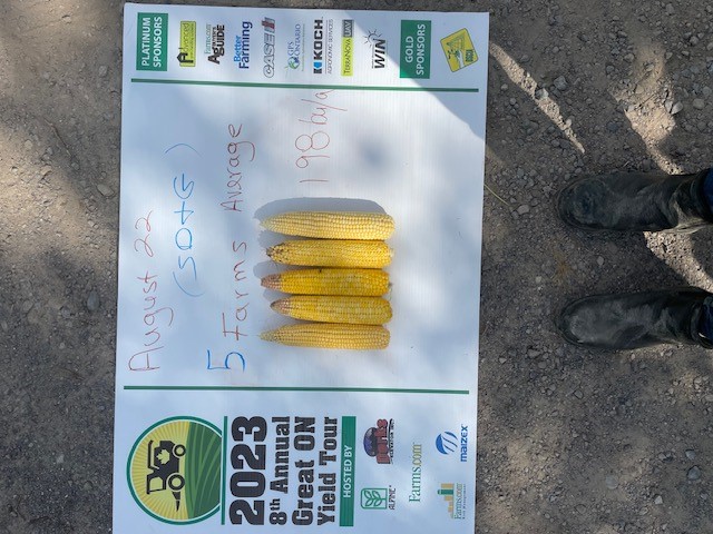 Eastern Ontario Yield Tour #ONYield23 #GreenfieldGlobal Aug 22 corn yield