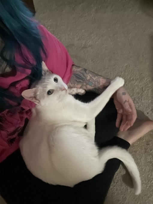 😭Elric is so clingy https://t.co/Cbt0fQ6Zd9<a href="/tag/newprofilepic"class="tags"><span>#newprofilepic</span></a>