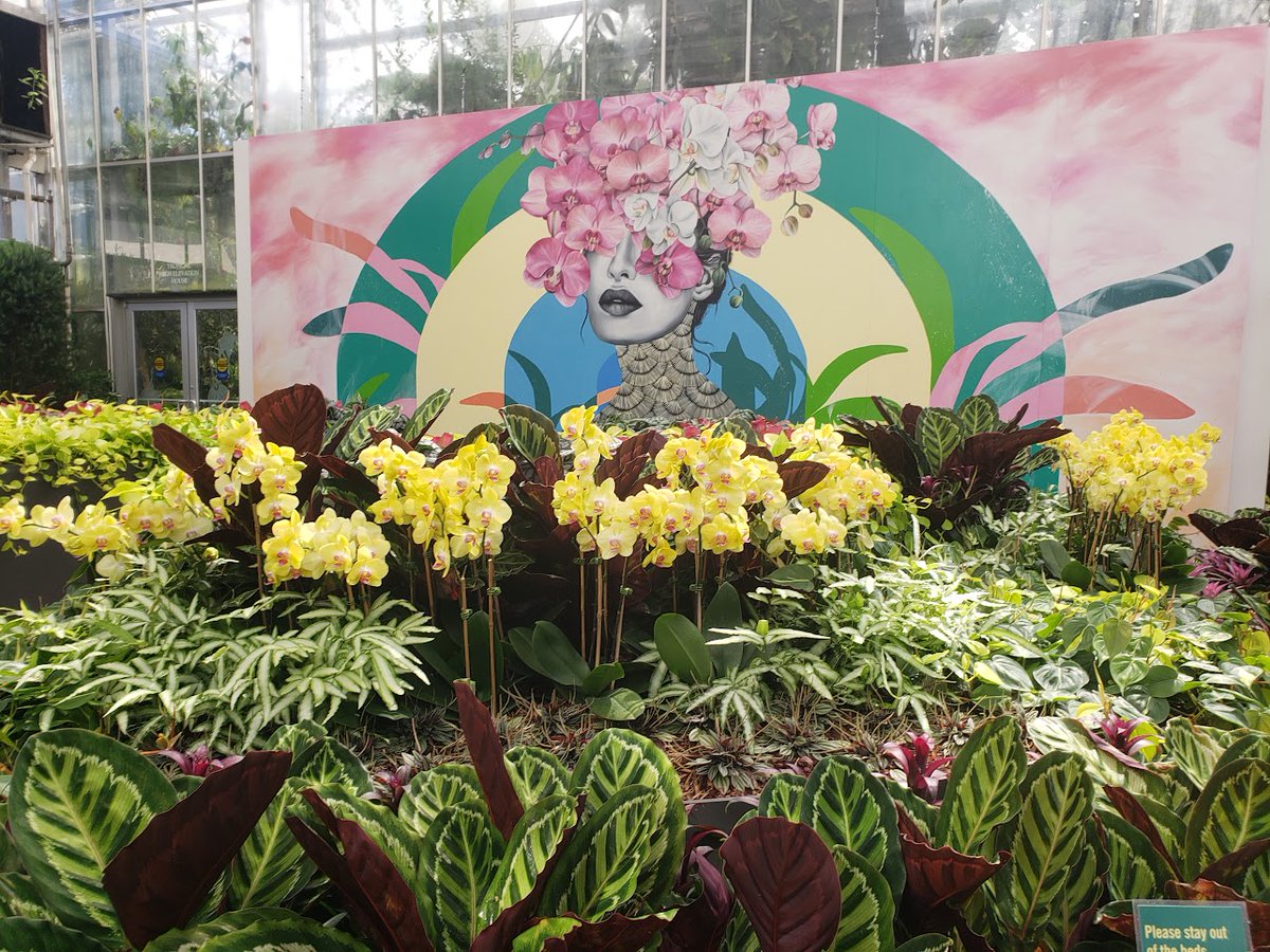 Orientation in the Botanical Gardens was a lot of fun.🌷🌼💮🪻🌻 A warm welcome to our newest hires: <a href="/YiyiHe_0604/">Yiyi He</a> and <a href="/gregfrandolph/">Gregory Randolph</a>! We wish them and everyone a happy 2023-2024 school year!