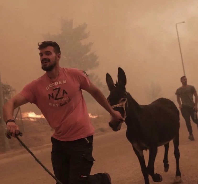 Ateş sadece düştüğü yeri yakmaz, eğer vicdan denilen bir şeye herkes sahipse nereye düşerse düşsün, düşen her ateş yüreklerimizi yakar. Ne diyordu Tolstoy: Bir insan acı duyarsa canlıdır. Başkasının acısını duyarsa insandır… #Çanakkale
#ÇanakkaleYanıyor #SONDAKİKA