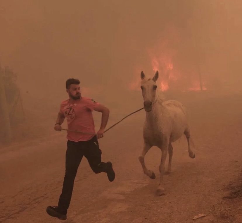 emrpuzo's tweet photo. Ateş sadece düştüğü yeri yakmaz, eğer vicdan denilen bir şeye herkes sahipse nereye düşerse düşsün, düşen her ateş yüreklerimizi yakar. Ne diyordu Tolstoy: Bir insan acı duyarsa canlıdır. Başkasının acısını duyarsa insandır… #Çanakkale
#ÇanakkaleYanıyor #SONDAKİKA https://t.co/VB3fd297gN