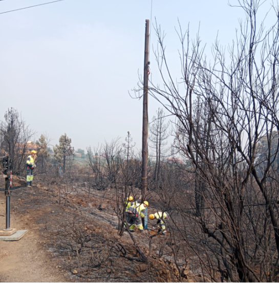 Endesa's tweet photo. Hemos accedido a las zonas más dañadas por el incendio.

En Aguamansa, La Orotava, se han iniciado las labores de reposición de postes y tramos de cable trenzado totalmente quemados.

No resulta una tarea fácil debido las altas temperaturas que actualmente desprende la tierra. https://t.co/HsTKSNf6hs