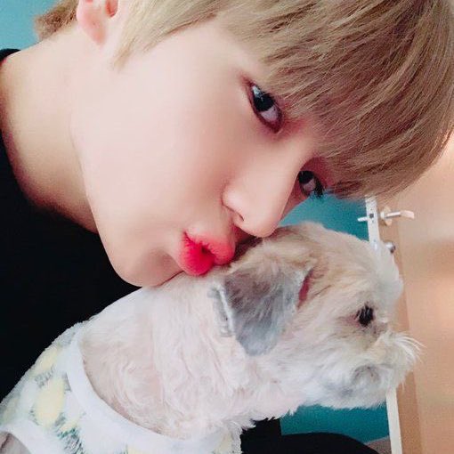 lekoi913's tweet photo. 다롱이 보고싶어 🥹🥹 https://t.co/5cfRHryoTv
