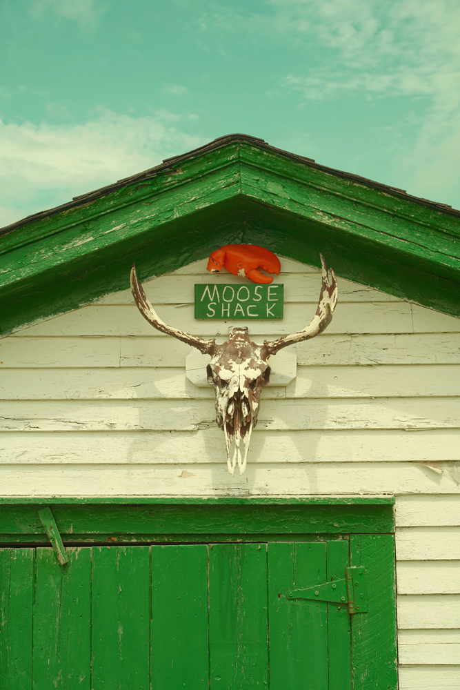 AcmeJetpack's tweet image. Some photos from around the Avalon Peninsula, Nfld🇨🇦 Sony A7iii
#photography #travelphotography #newfoundland