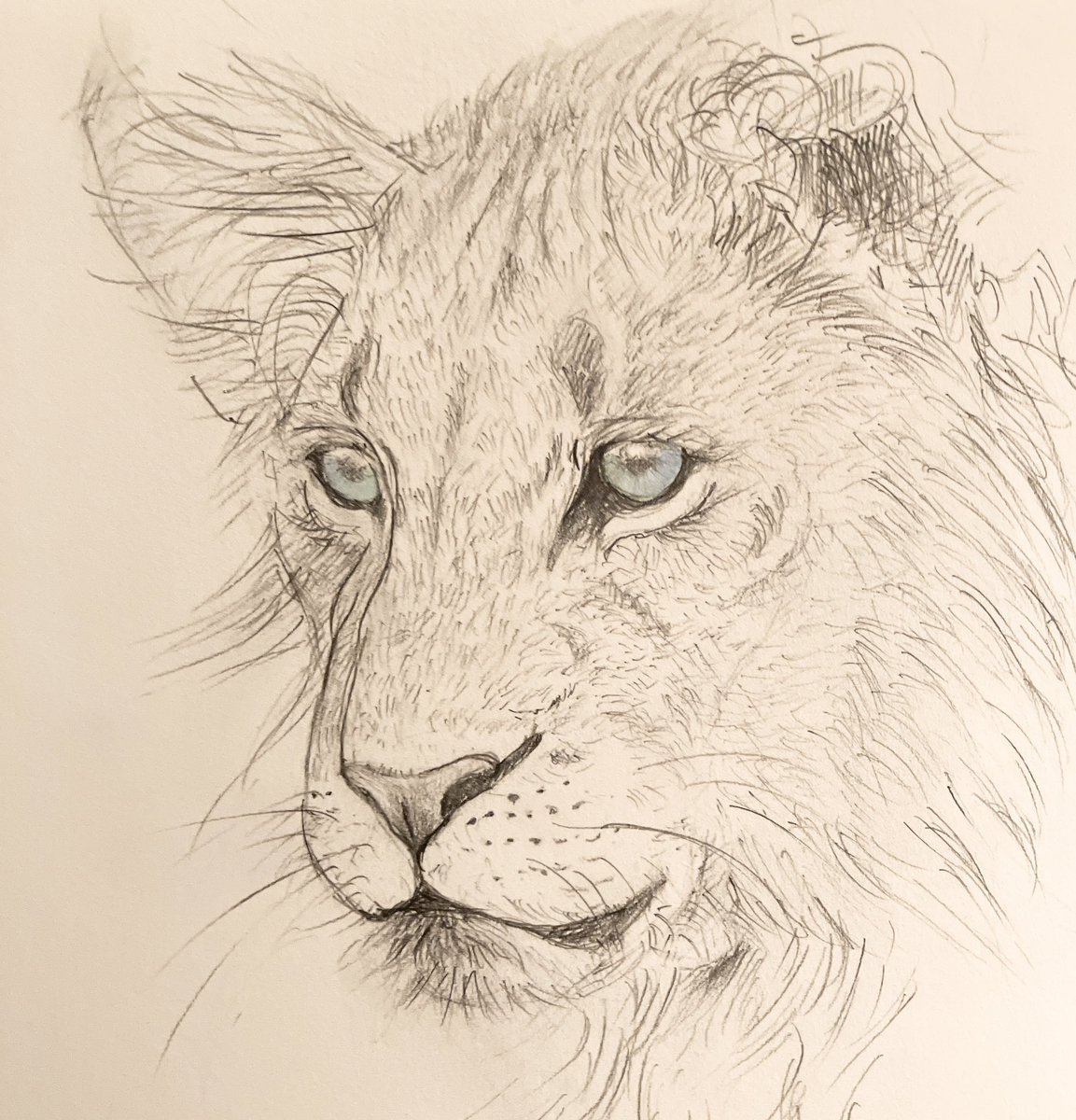 🦁🦁🦁
なかなかかわゆく描けた！