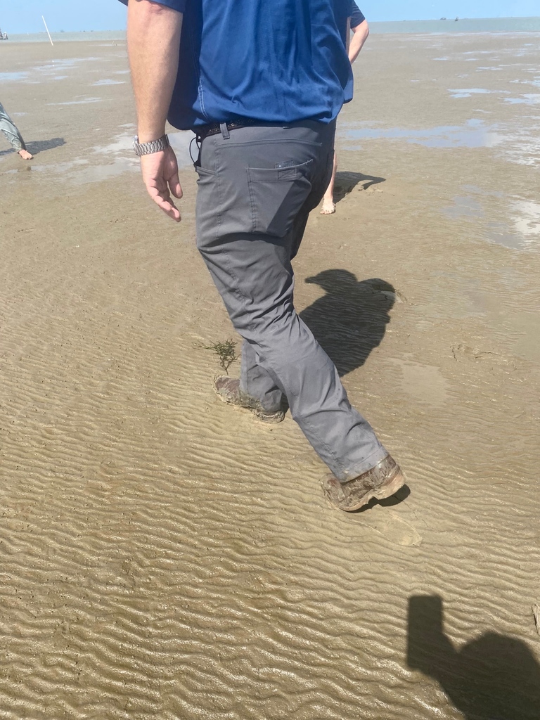 POV: You’re walking on some of the newest land in Louisiana ✨🌱

It’s #WetlandsWednesday and we’re highlighting a natural diversion at work: Neptune Pass. Neptune channels MS river sediment and water to create walkable land like this! 

Read more: tinyurl.com/yjw6u9at