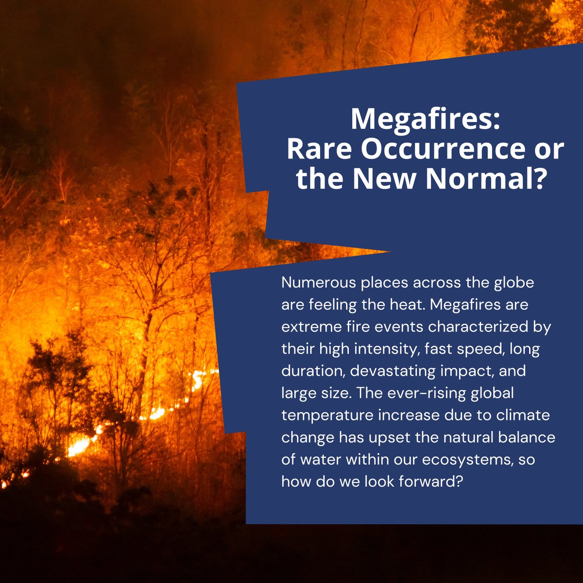 CiresCEEE's tweet image. There is no question that numerous places around the world are feeling the heat from #wildfires . Analyze #megafire frequency data to explain how and why the number of megafires has changed over time with our Data Puzzle resource, Megafires: Rare Occurrence or the New Normal?