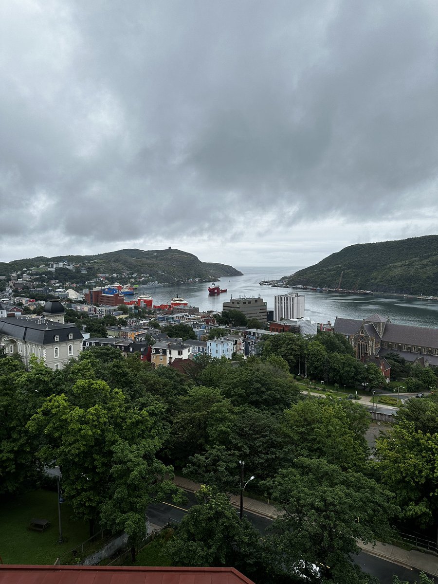 JenniferYVerma's tweet photo. Just stopped by @TheRooms_NL in St. John’s NL and signed copies of my book #CodCollapse about the east coast cod fishery collapse - cc @NimbusPub @kings_mfa https://t.co/2YRzvfHCpx