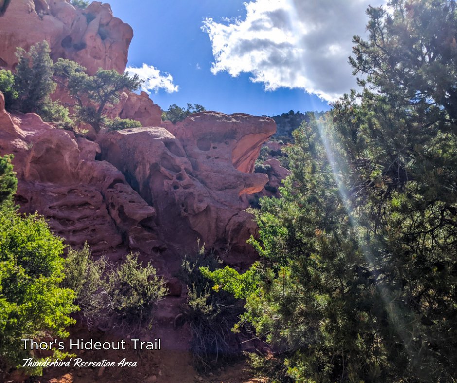 VisitCedarCity's tweet image. Here are our suggestions for 3 trails to check out in Cedar City!
📷 Thor's Hideout/Lookout Trail: A moderately difficult 3.6-mile trail 
📷 South Rim Trail: A  moderately difficult 5-mile trail.
📷 Cascade Falls Trail: An easy 1.2-mile trail.
#TrailTuesday #VisitCedarCity