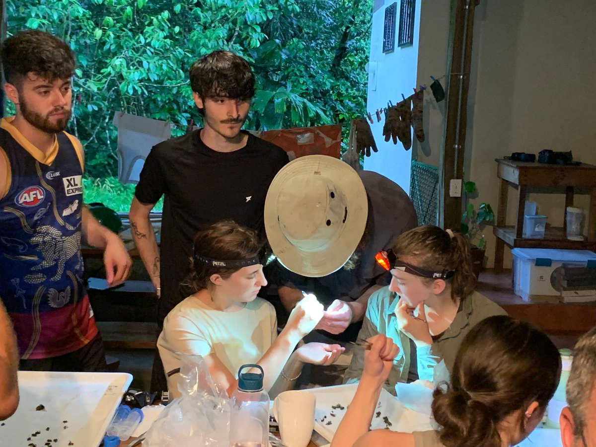 UCDTropicalEcology tweet media