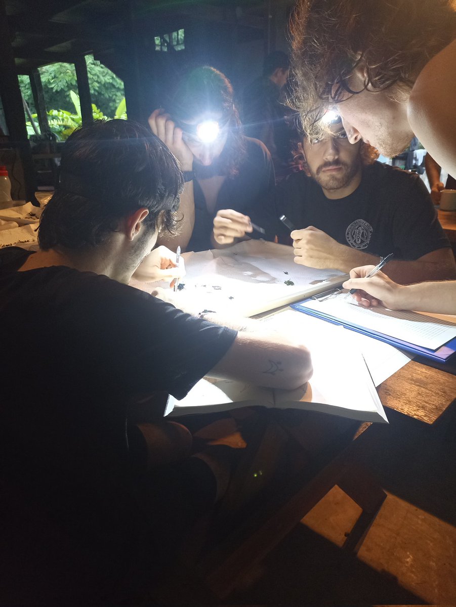 UCDTropicalEcology tweet media