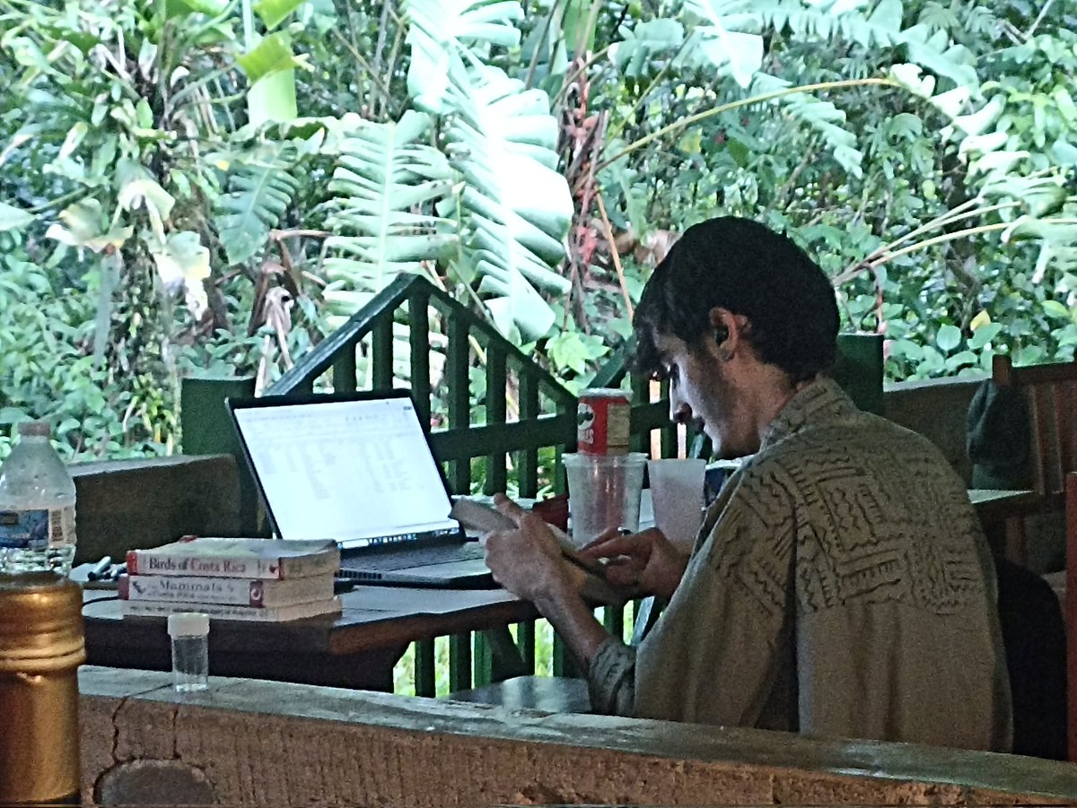 UCDTropicalEcology tweet media