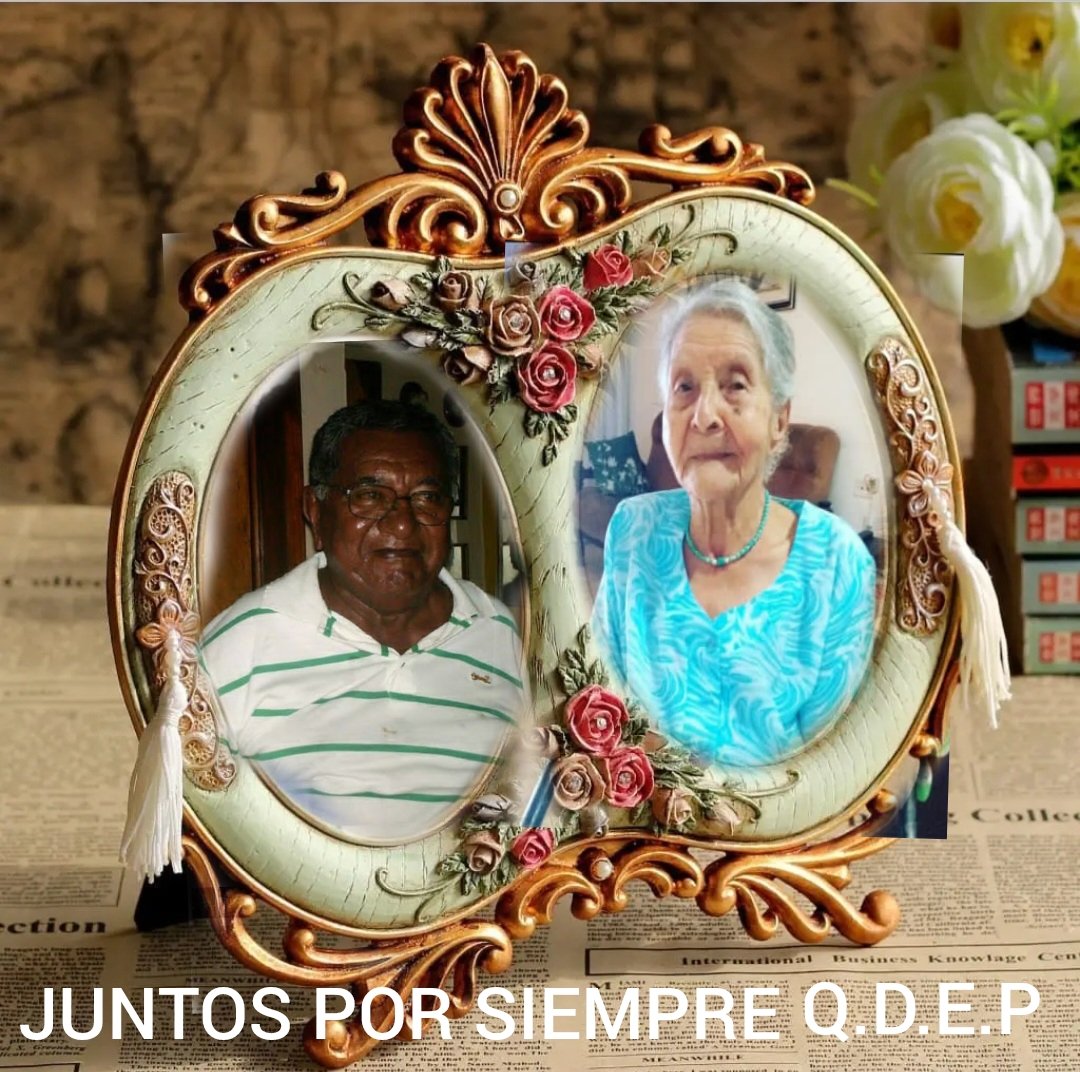 🇻🇪 NILVITA ⚽️☆🇻🇪 tweet media