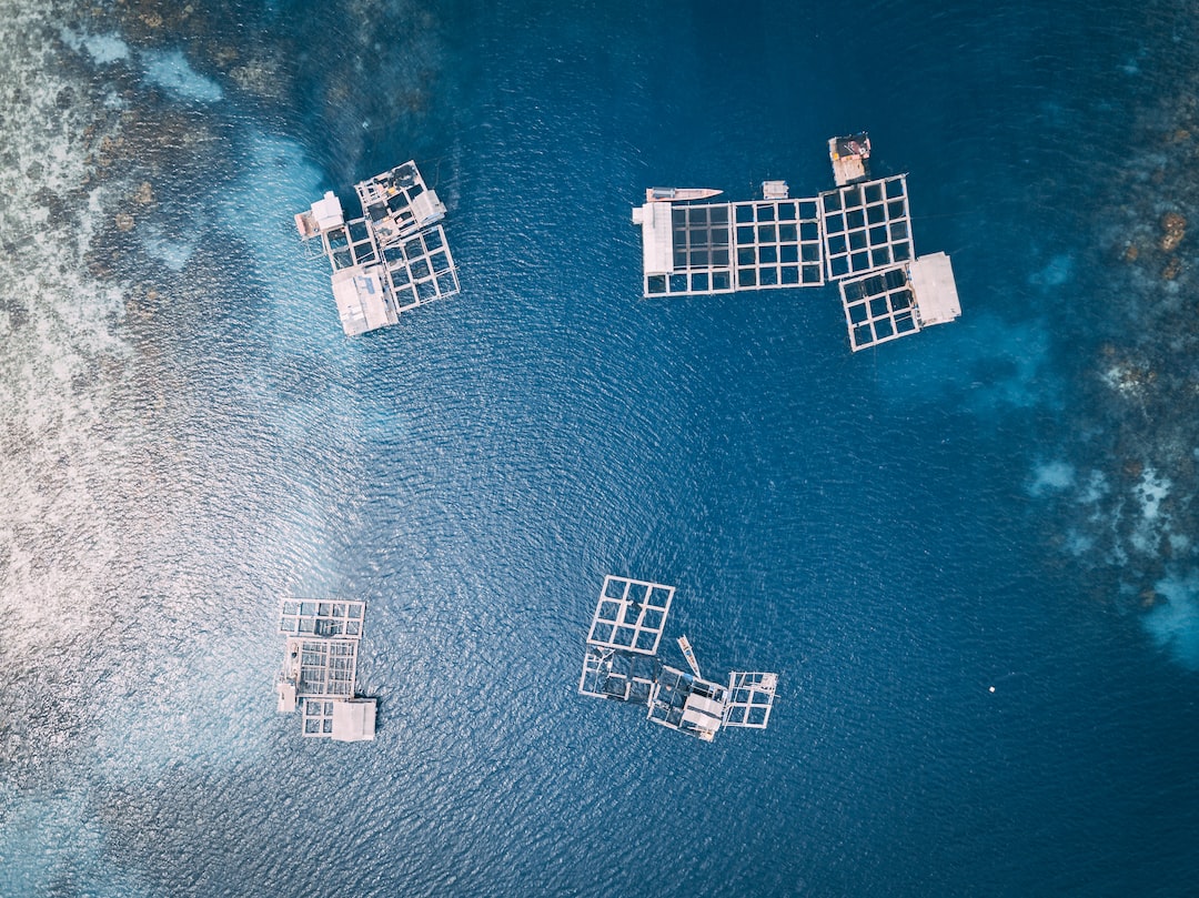 🐟 Aquaculture tech is experiencing a surge in investment, with companies like Aquabyte leading the charge in AI innovation. buff.ly/44ZZpDk #Aquaculture #AI #SustainableSeafood #ArtificialIntelligence #ROI #FishTech #MaritimeTech #OceanTech #DigitalRevolution