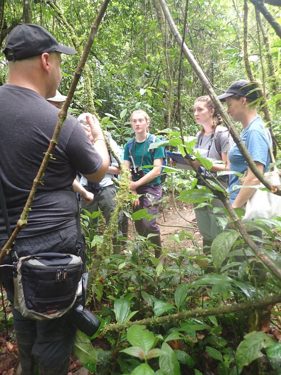UCDTropicalEcology tweet media