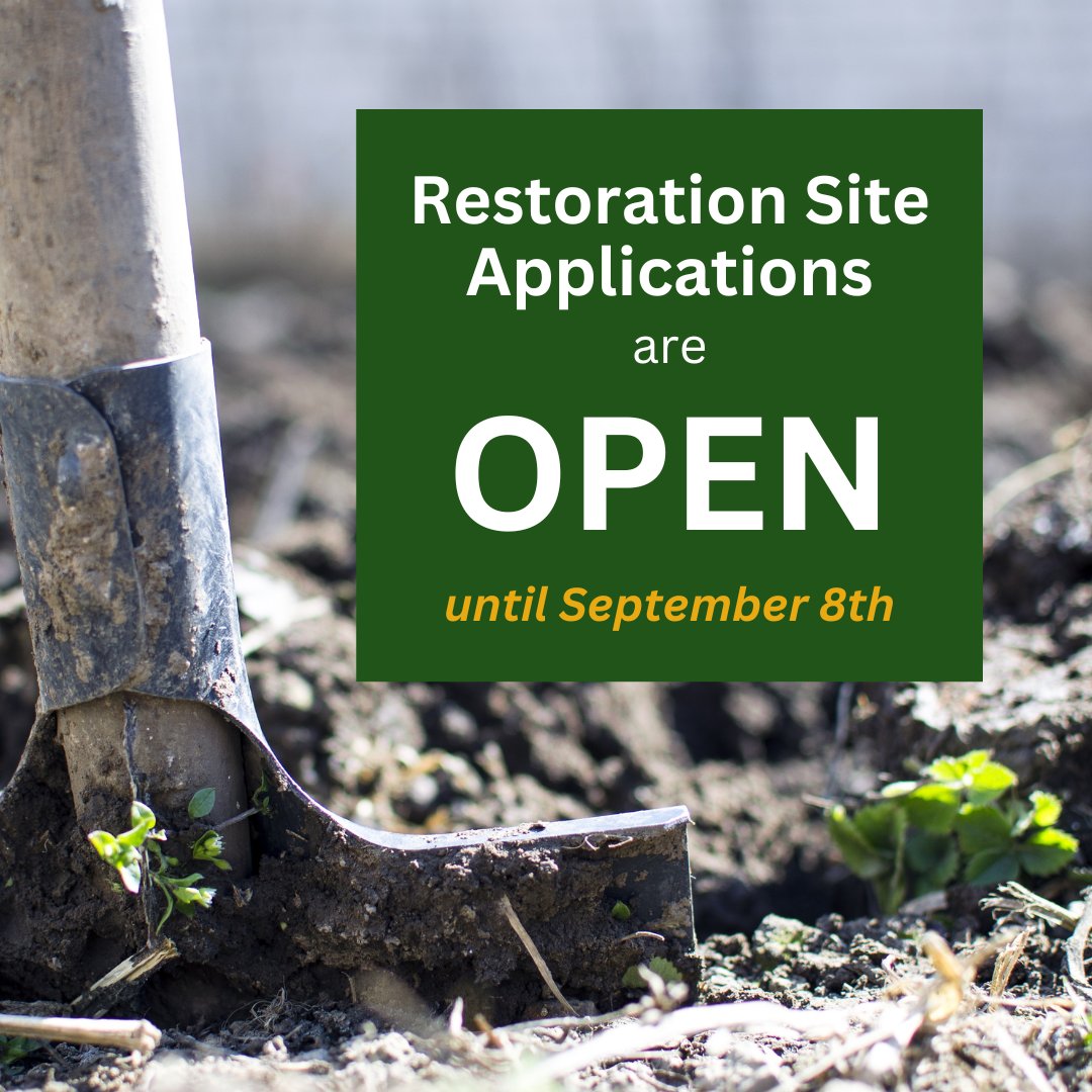 Want to restore nature in your local natural area? Then consider applying for a site with us! Apply for your site by September 8th: shorturl.at/clA07

#torontoravines #environmentalstewardship #TOravines #torontoparks #invasivespecies #invasiveplants #restoration