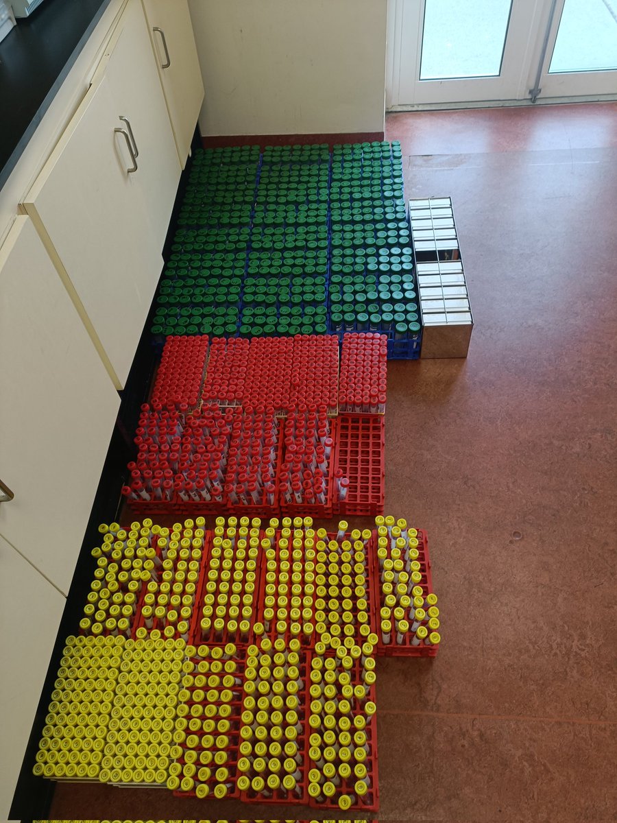 Eoin Dunne (@tubber_belclare) on Twitter photo Sampling preparations are underway for the latest <a href="/MethanePredict/">Methane-Predict</a> rumen sampling run. 500 lambs will have their methane measured and rumen samples collected to identify 🦠 s associated with high & low methane output at grass! <a href="/TeagascSheep/">TeagascSheep</a> <a href="/FiMcG11/">Fiona McGovern</a> <a href="/PaulSmid94/">Paul Smith</a> Sampling preparations are underway for the latest <a href="/MethanePredict/">Methane-Predict</a> rumen sampling run. 500 lambs will have their methane measured and rumen samples collected to identify 🦠 s associated with high & low methane output at grass! <a href="/TeagascSheep/">TeagascSheep</a> <a href="/FiMcG11/">Fiona McGovern</a> <a href="/PaulSmid94/">Paul Smith</a>
