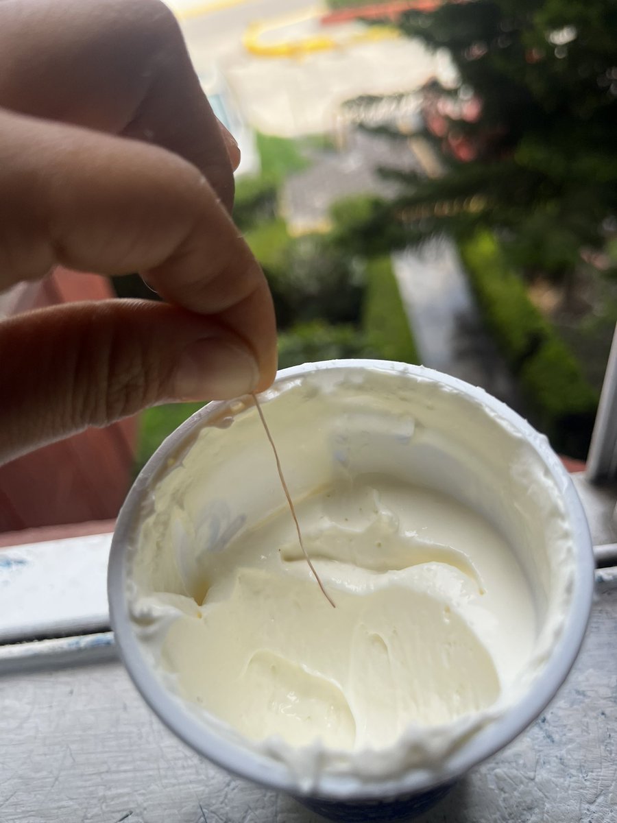 annyboOh's tweet photo. @alpuraoficial escribí desde hace más de una semana por medio de Instagram para comentarles que mi crema traía eso, un tipo gusano y nunca me contactaron. Lote k2007 00:56
Cad 18 sep 2023. Yo solo quería comer chilaquiles 😩 https://t.co/e0HpVDUpNe