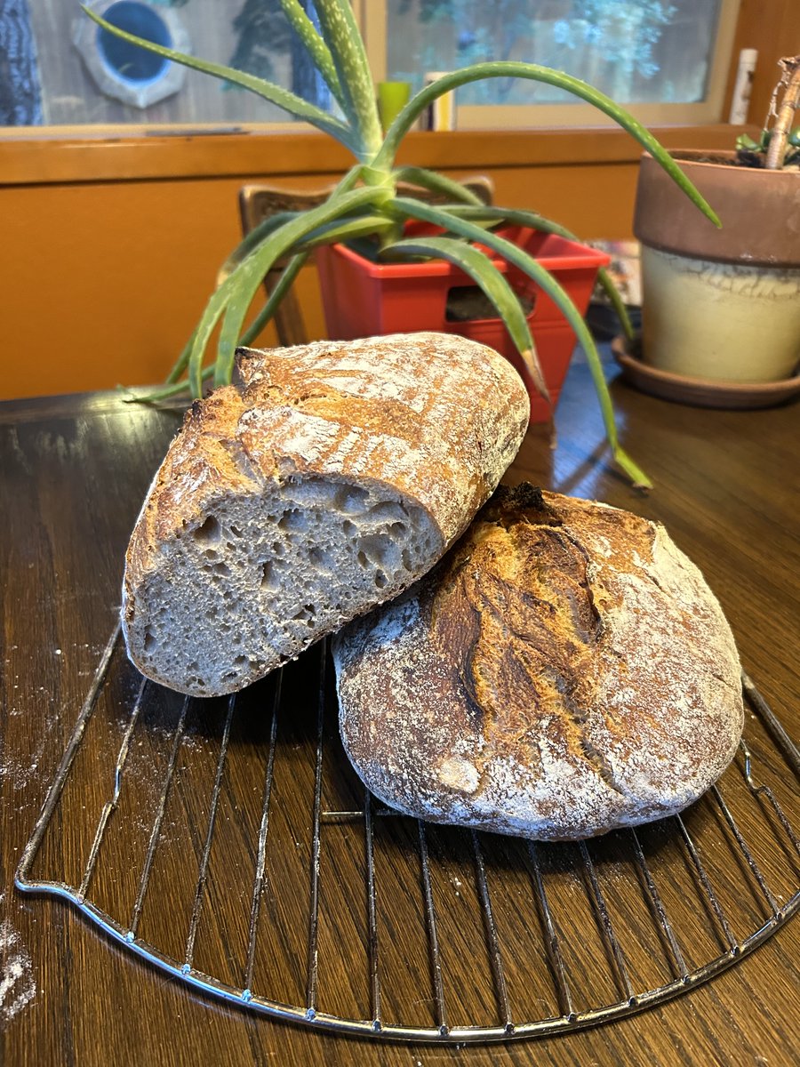 After more than 6 months of tweaks, I am proud to share my 40% Whole Wheat Sourdough Bread recipe.
anothergreatbake.com/recipes/40-per… #bread