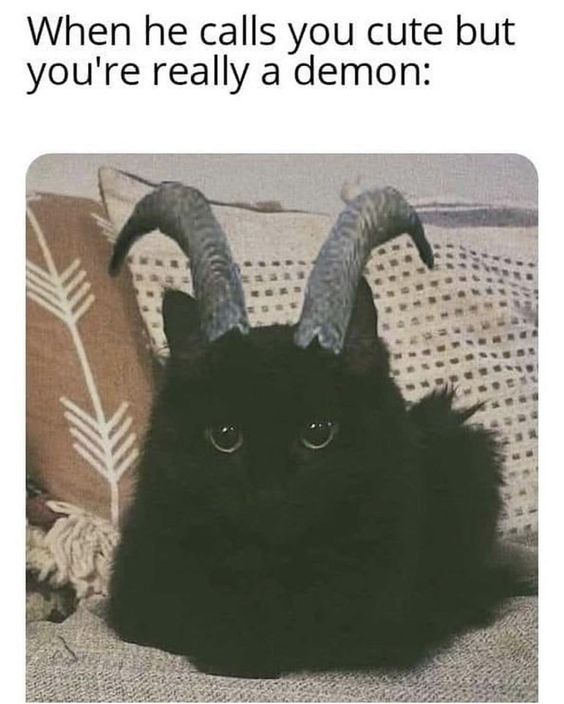 WholesomeMeme's tweet photo. https://t.co/HrIKnZi5Ur