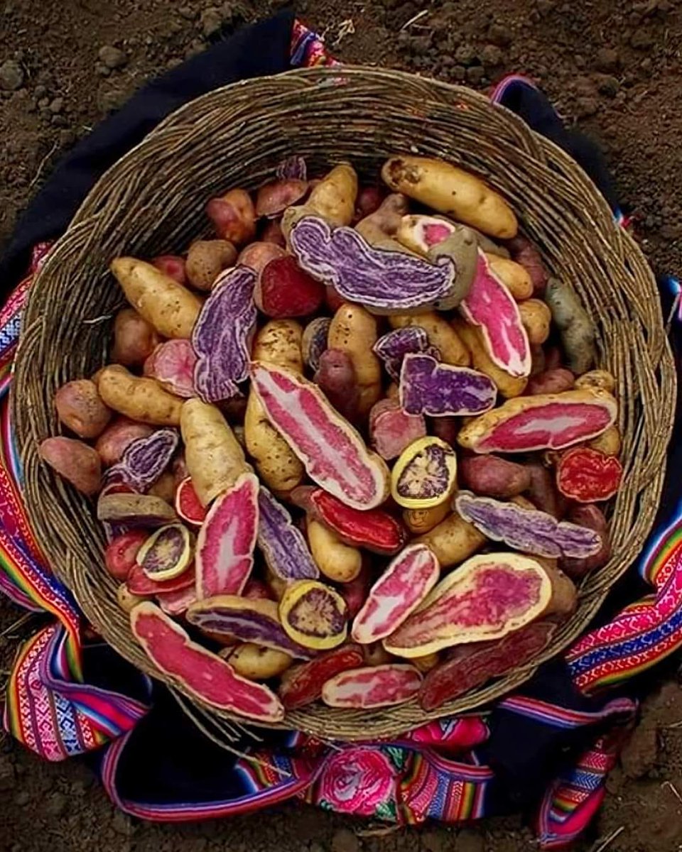 Tiyapuy-foods tweet media