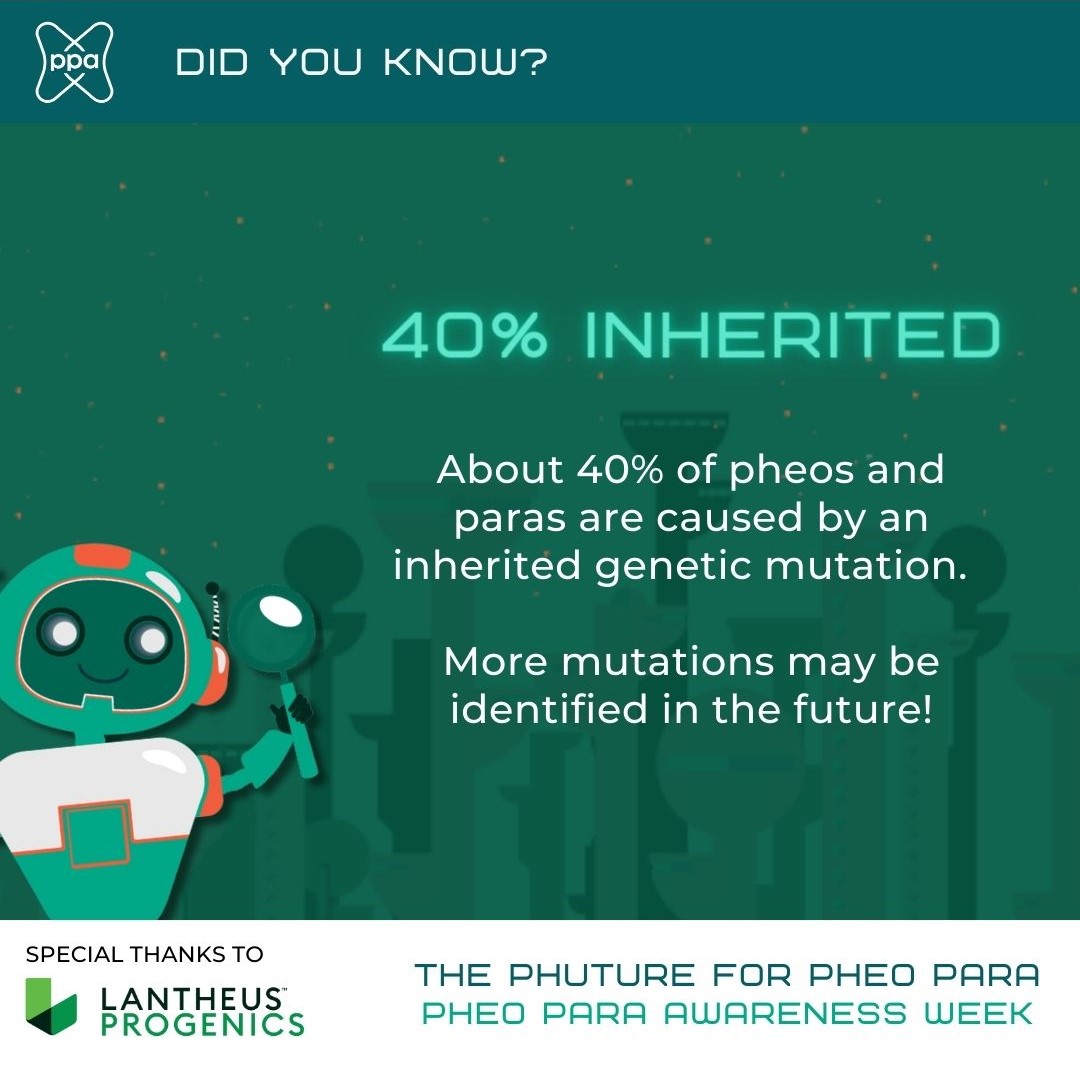 We now know that 40% of #pheo #para is caused by inherited mutations in > 20 genes.🧬
Knowing your mutation helps your medical team with follow-up & determining most effective treatments. #phutureforpheopara #PheoParaAwarenessWeek #genetics #inheritedcancer